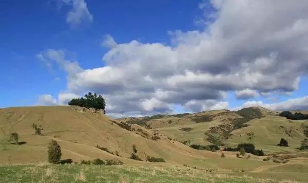 微信图片_20190418114729.jpg 微信图片_20190418114729.jpg