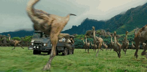 2.gif